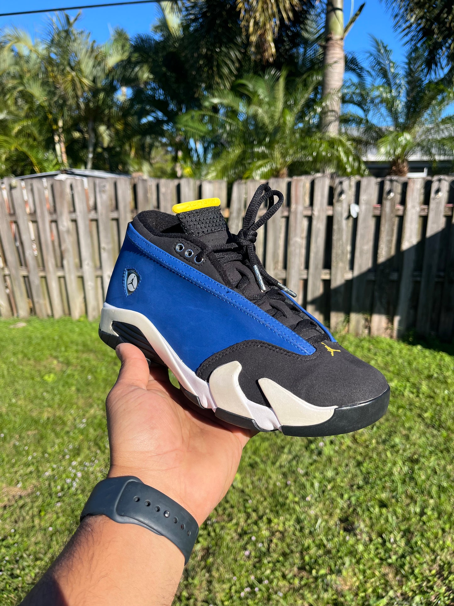 Jordan retro 14 low